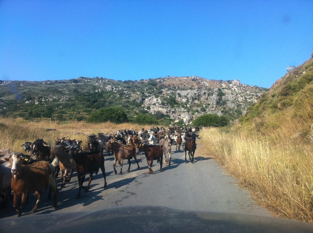 Philothea Guest House Mani Greece Mitziolena المظهر الخارجي الصورة